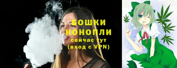 ALPHA PVP Вяземский