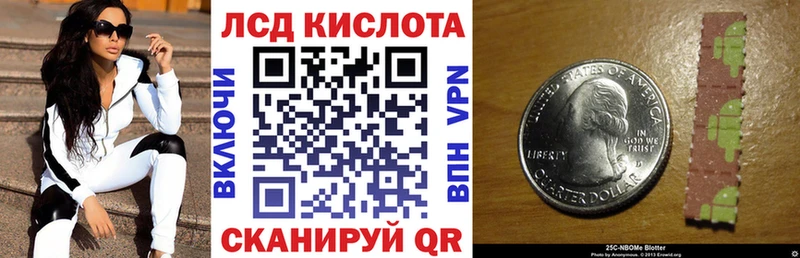 купить наркотики цена  Заводоуковск  Марки N-bome 1500мкг 