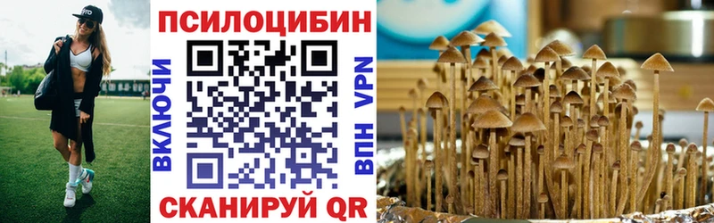 Галлюциногенные грибы MAGIC MUSHROOMS  Заводоуковск 